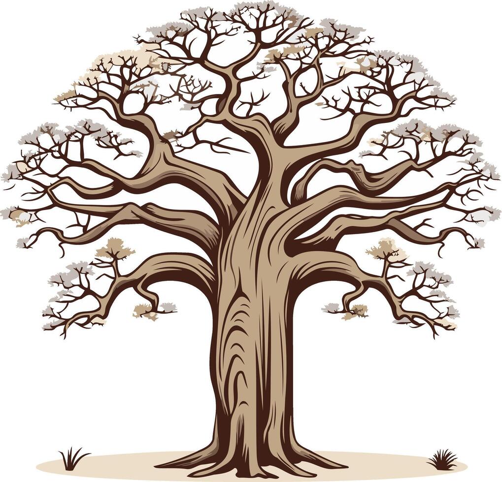 A Mighty Baobab Tree Standing Tall vector