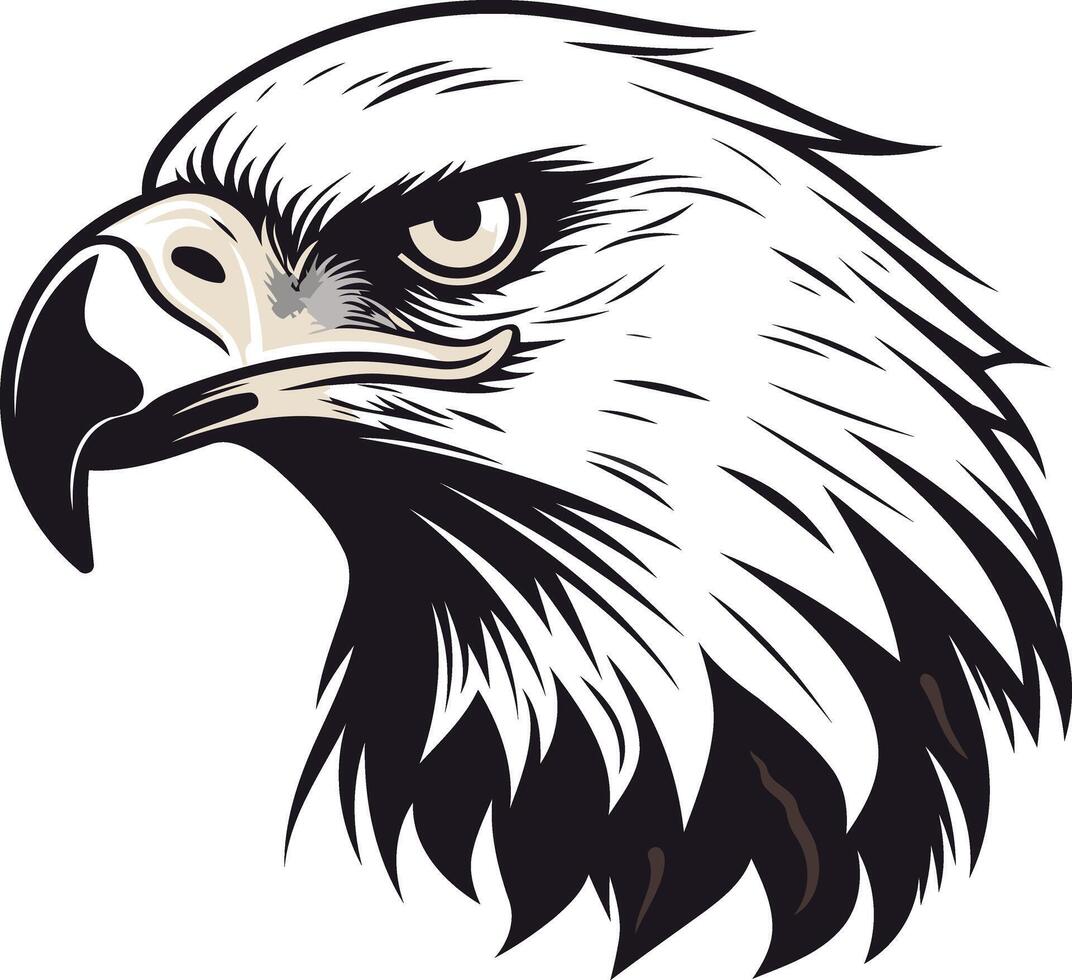 Close Up of Bald Eagle Head vector