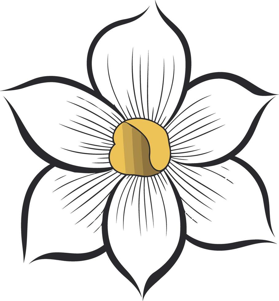 Simple, elegant illustration of a white flower with a yellow center vector