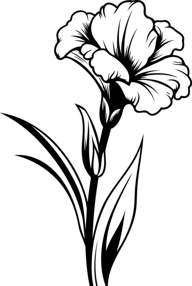 Elegant black and white illustration of a single carnation flower with delicate leaves vector
