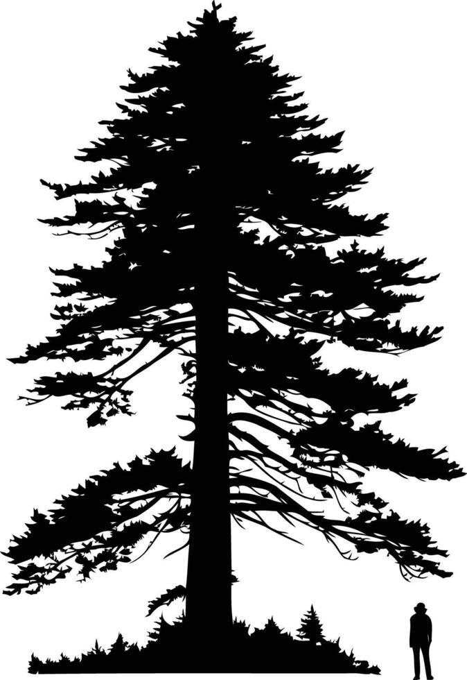 A dramatic silhouette of a towering evergreen tree with a single person standing beneath it vector