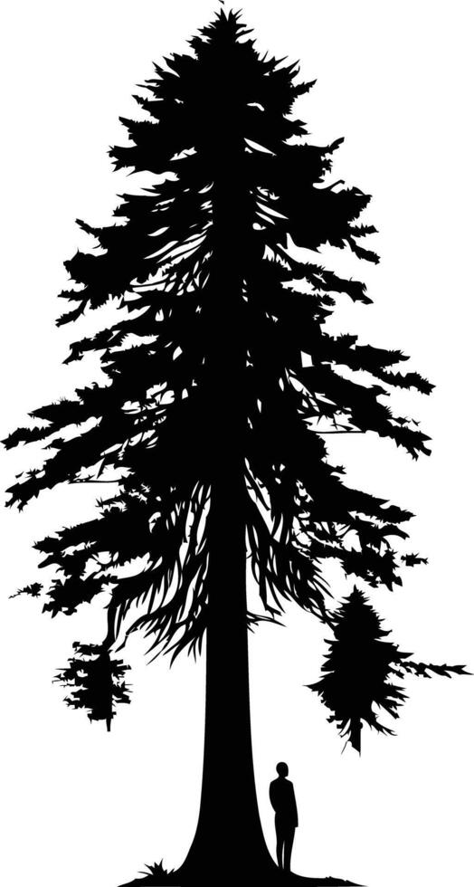 Silhouette of a large pine tree with a person standing in front vector