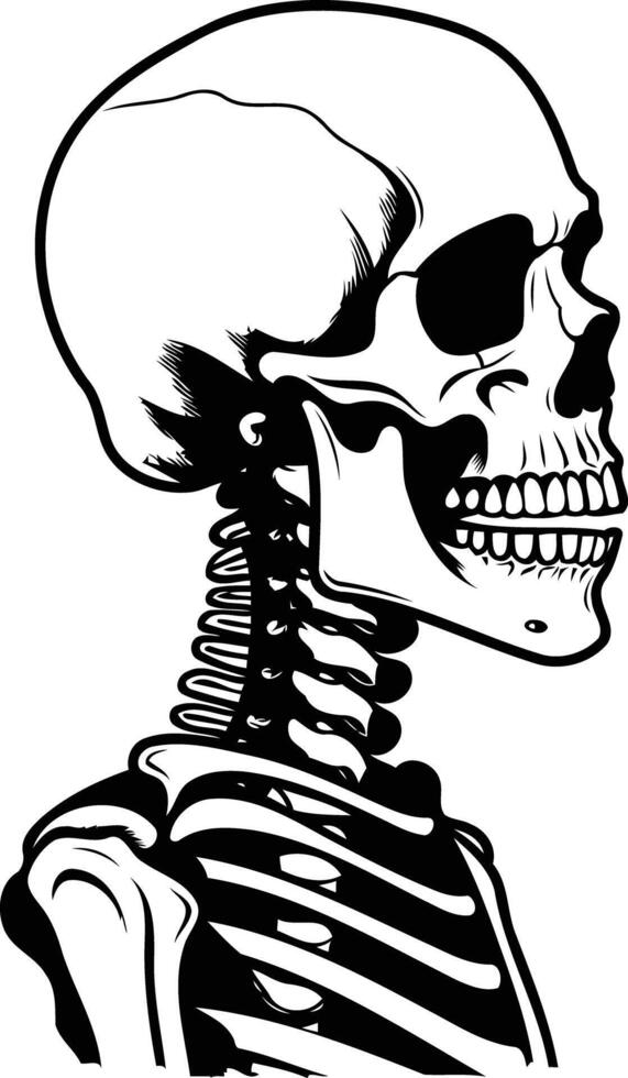 Black and white illustration of a human skull with a visible spine vector