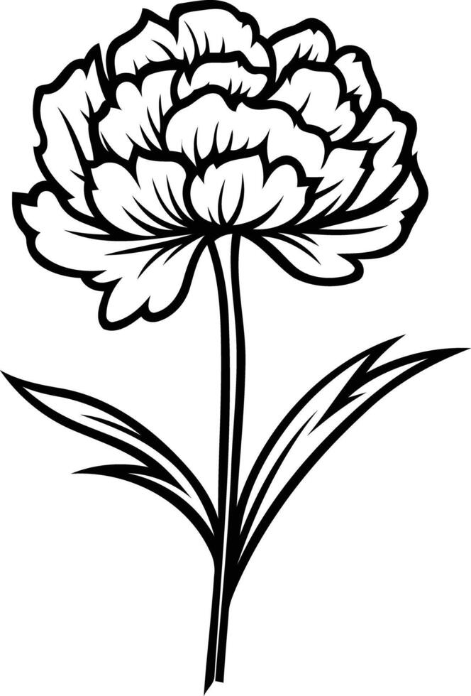 Simple black and white illustration of a beautiful peony flower vector