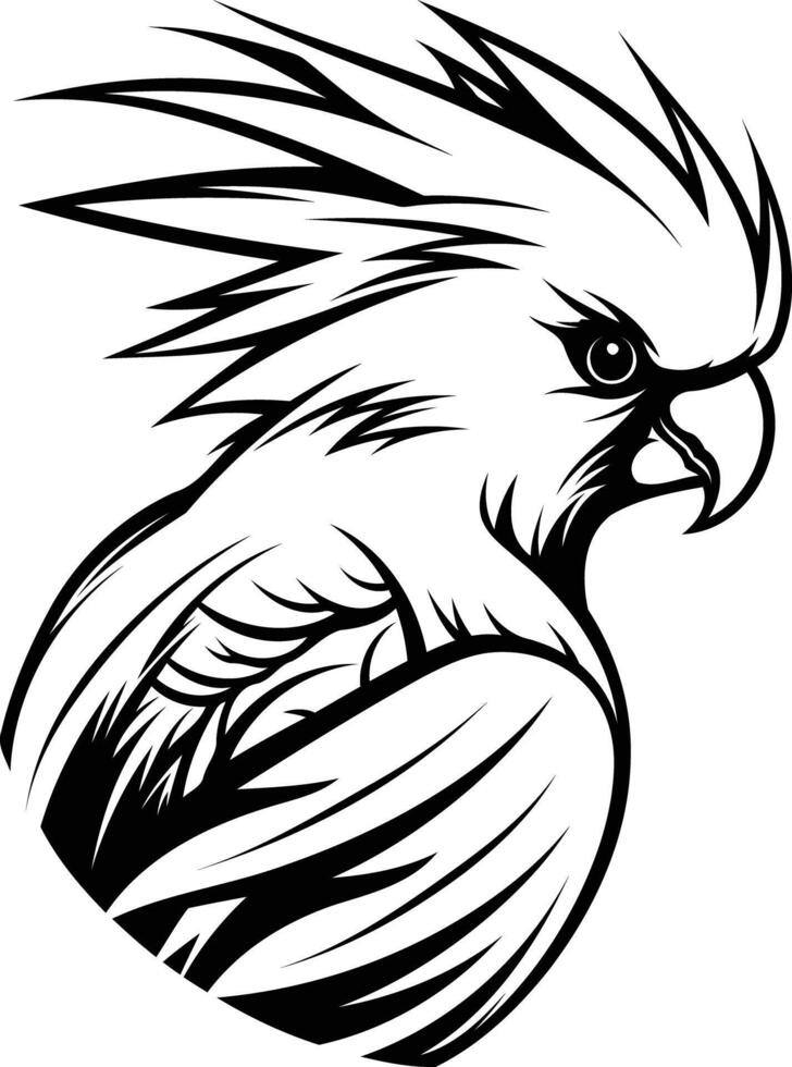 Black and White Illustration of a Cockatoo vector