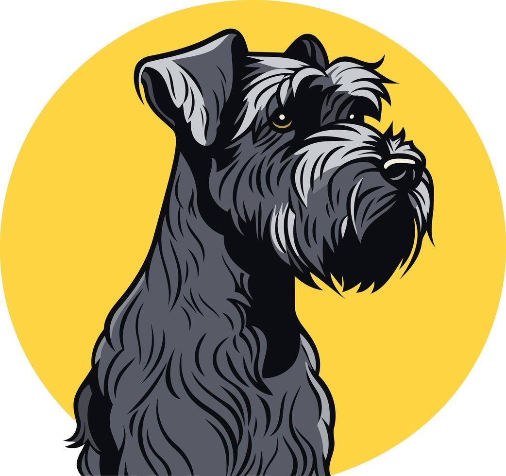 A detailed illustration of a black and grey miniature schnauzer, perfect for pet related projects, blogs, or social media vector