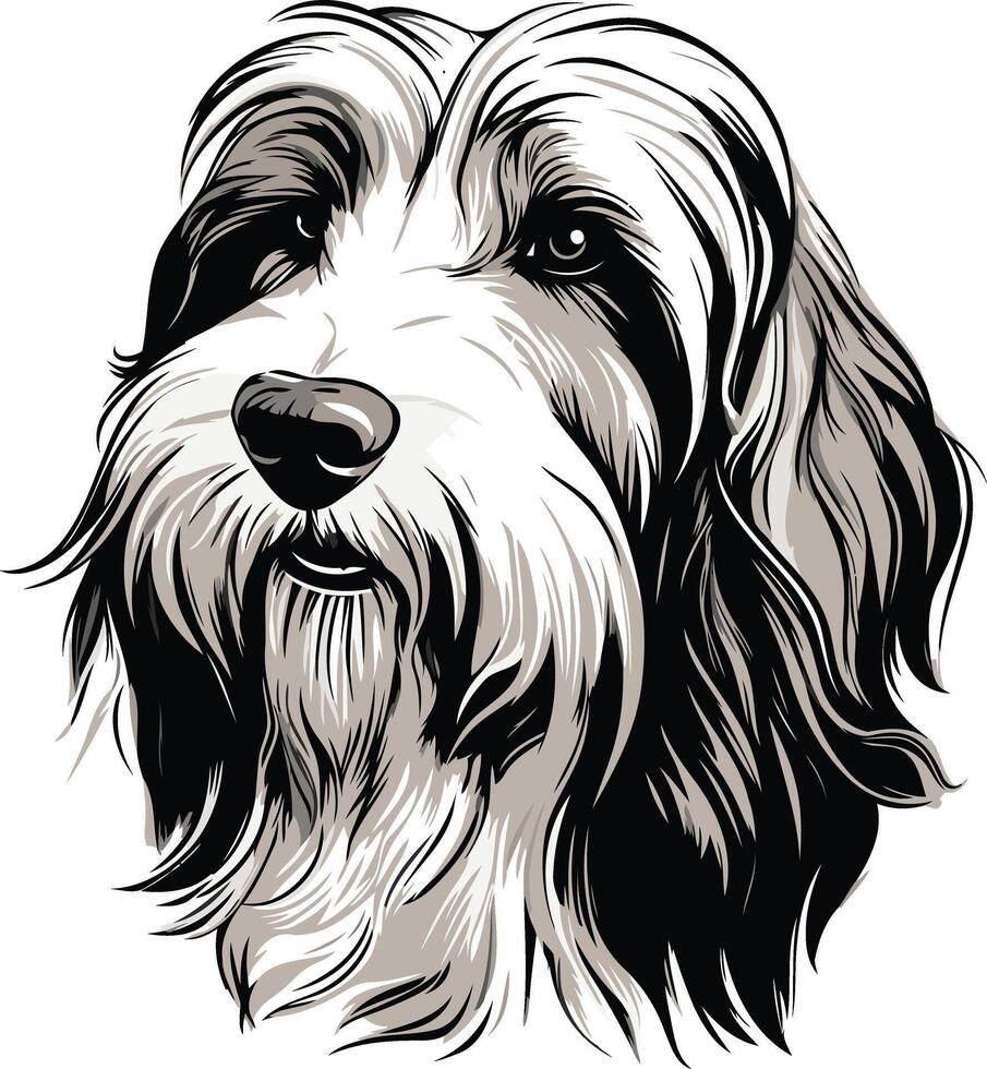 Bearded Collie Portrait vector