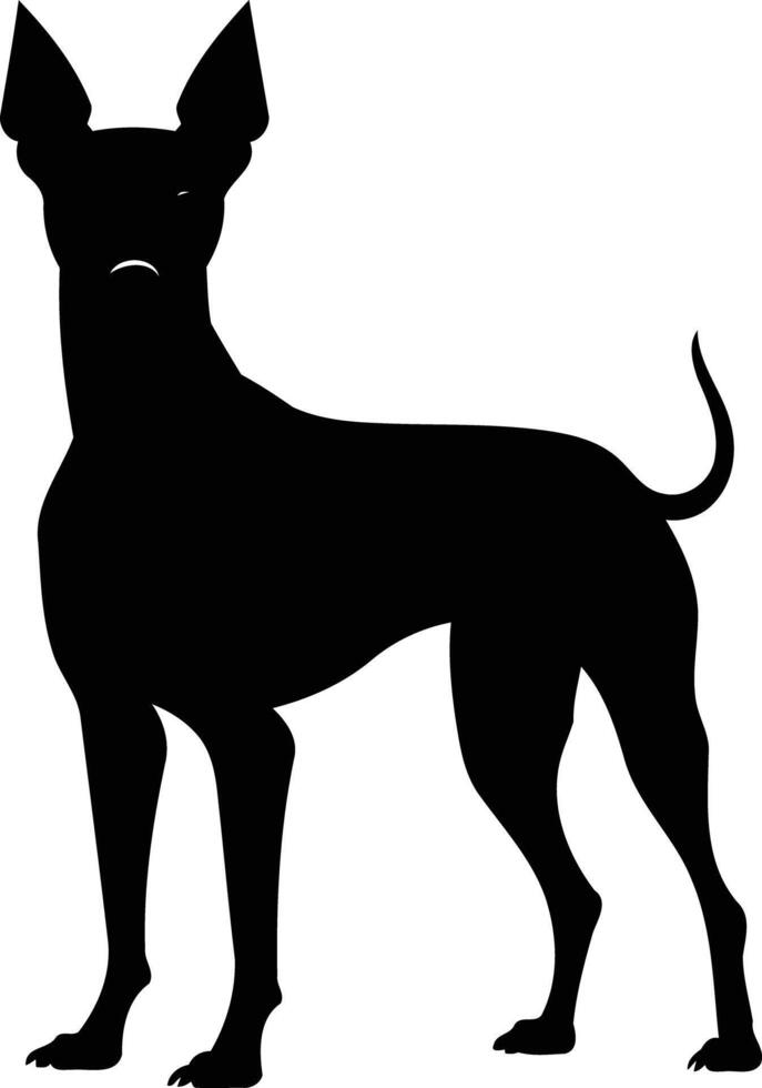 Sharp, detailed silhouette of a dog standing vector