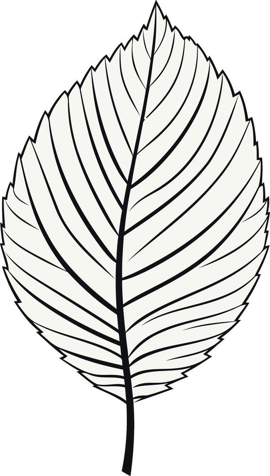 Simple black and white line drawing of a leaf, perfect for nature themed designs and illustrations vector