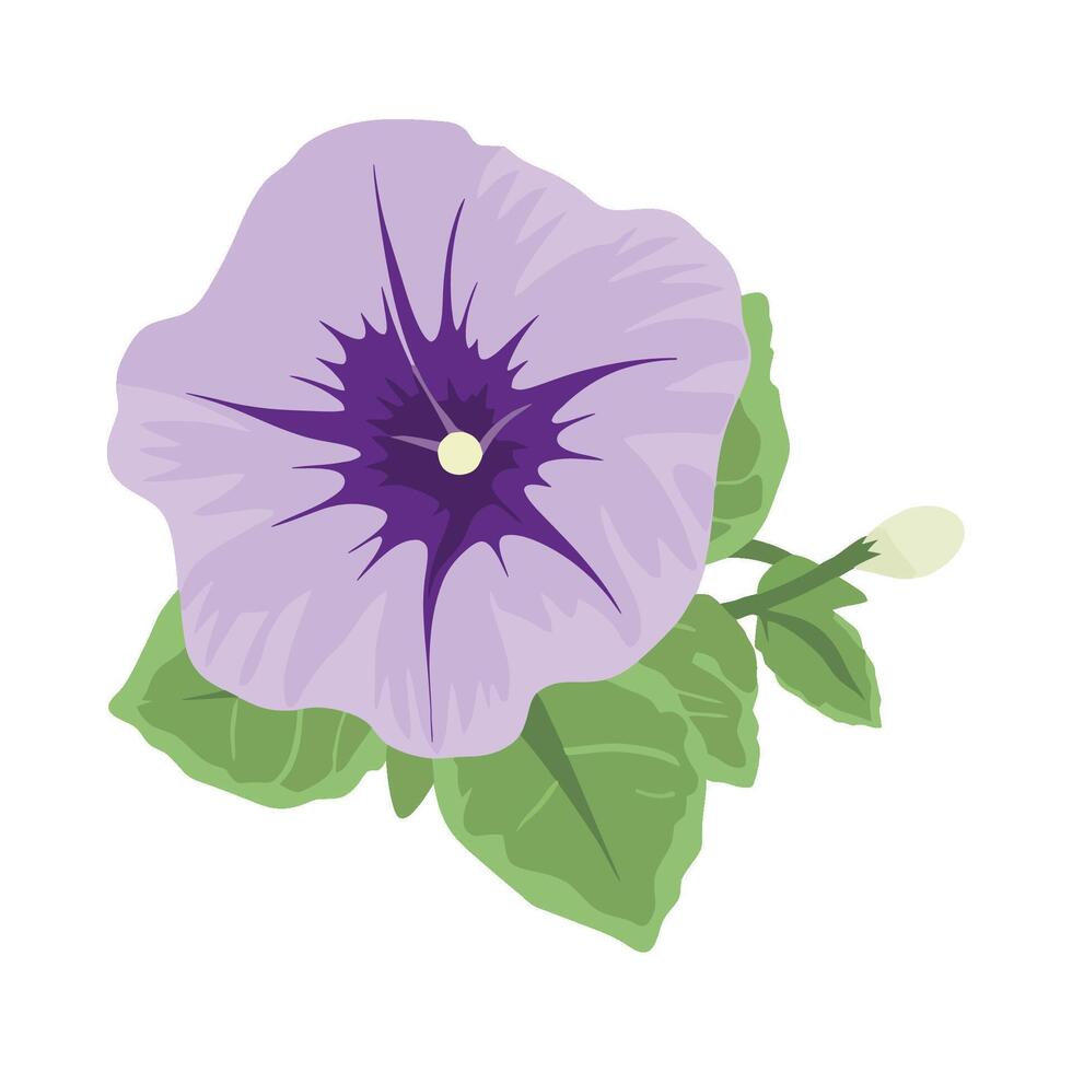 A purple flower with green leaves on a white background vector