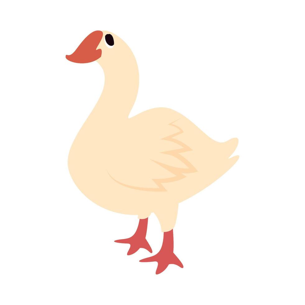 A cartoon duck standing on a white background vector
