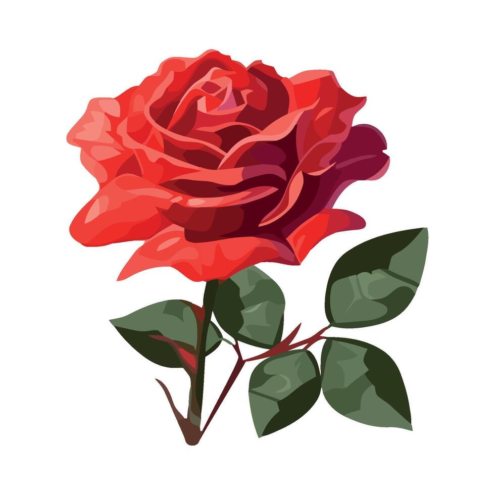 Red rose flower illustration isolated on white background vector