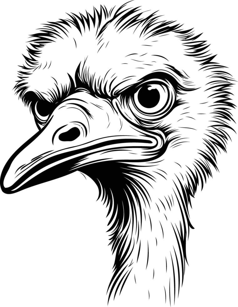 A detailed black and white illustration of an ostrich head, perfect for tattoo designs, wildlife posters, or any project needing a strong animal image vector