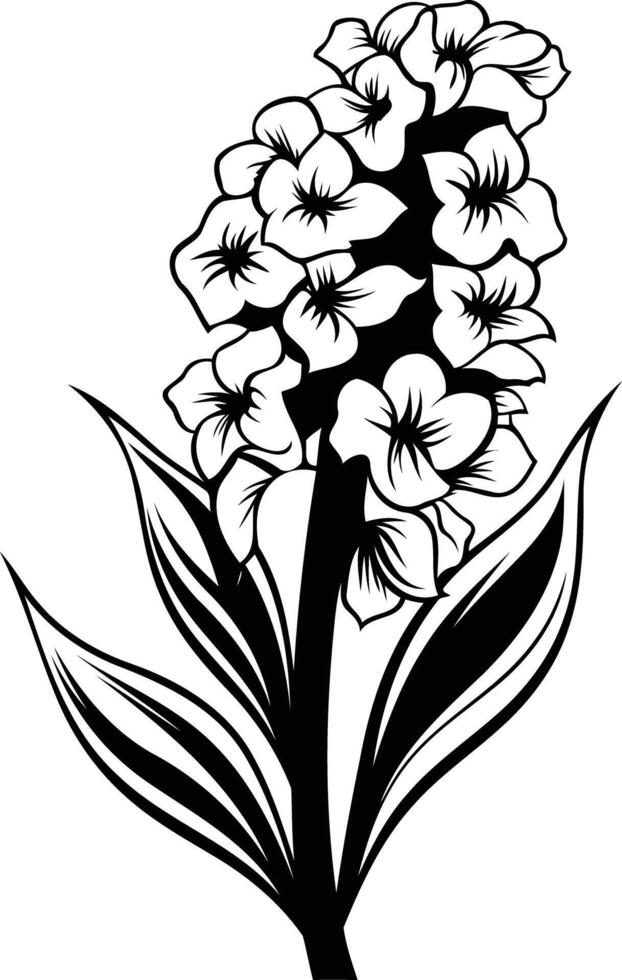 Elegant black and white illustration of a hyacinth flower vector