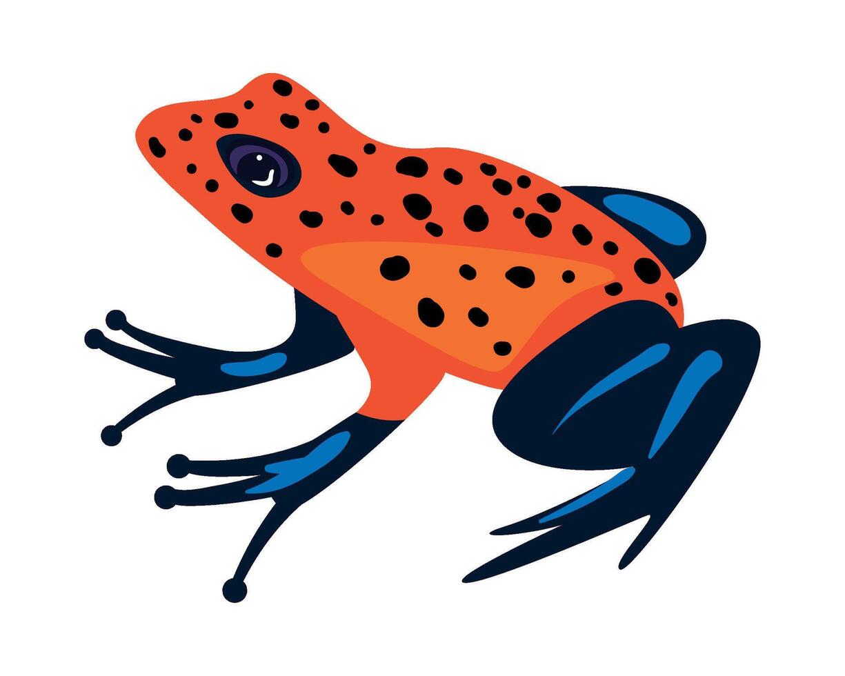 A cartoon frog with black spots and orange spots vector