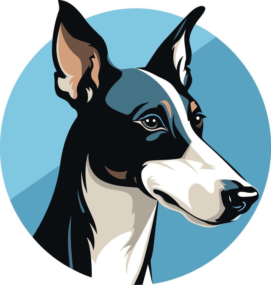 A stylish black and white dog with piercing eyes, isolated on a blue circular background vector