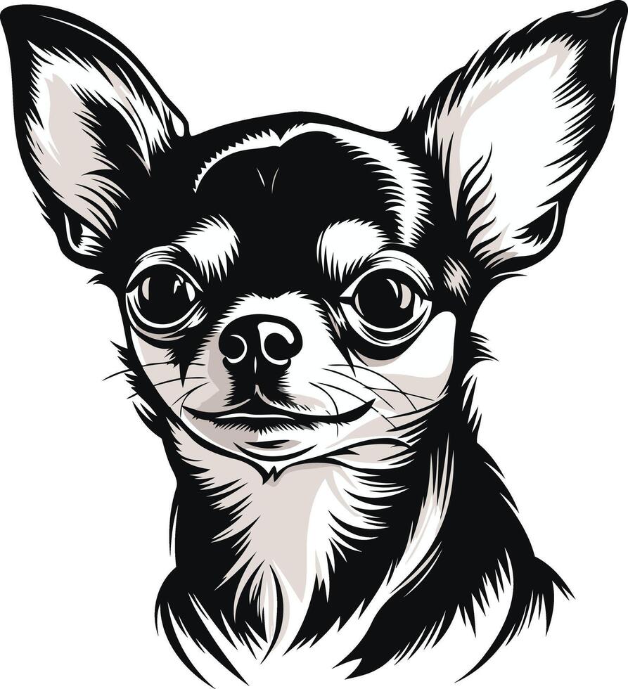 Chihuahua Portrait in Black and White vector