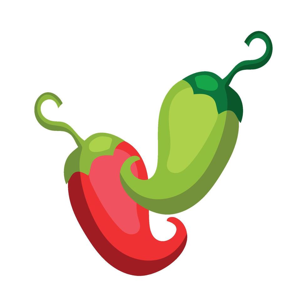 Two red and green peppers on a white background vector
