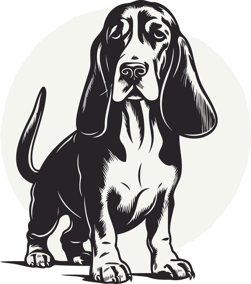 A classic black and white illustration of a basset hound, standing with a gentle and curious expression vector