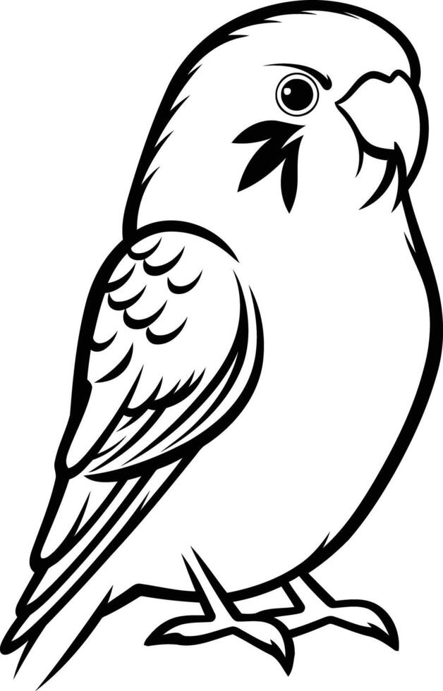 A simple and stylish line drawing of a budgie, perfect for coloring pages, educational materials, or pet related designs vector