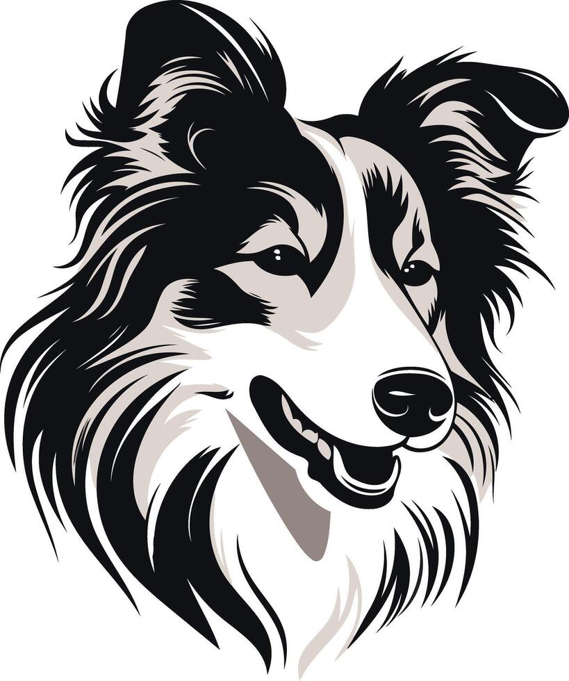 Black and White Portrait of a Smiling Collie vector