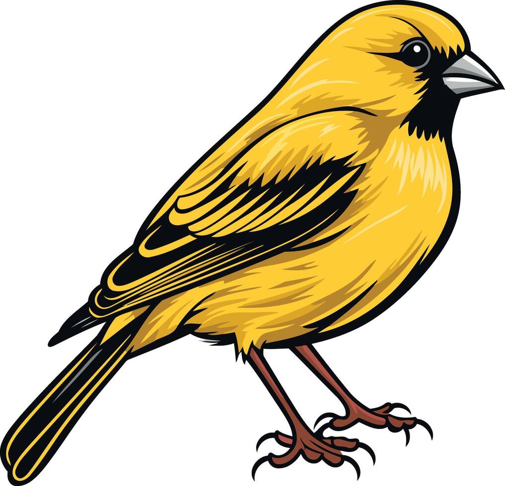 Yellow Canary Bird Illustration vector