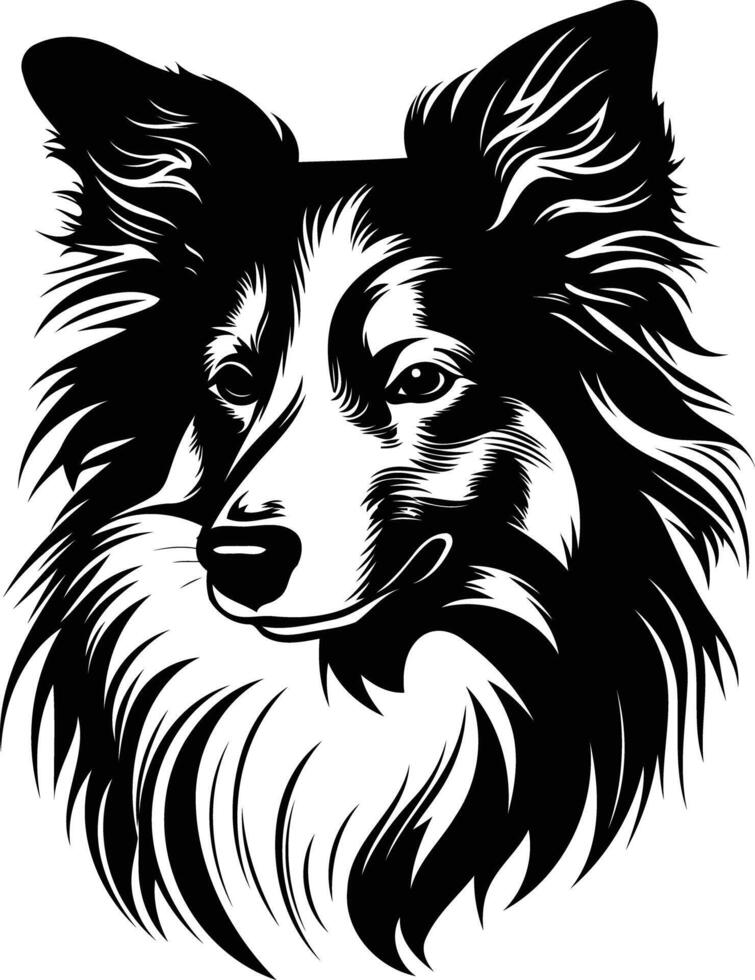 A striking black and white silhouette of a border collie's head vector