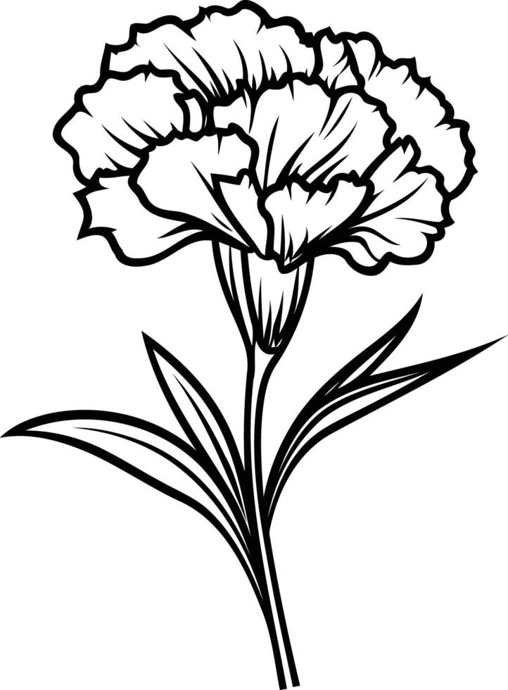 Elegant line art illustration of a single carnation flower with delicate petals and leaves vector