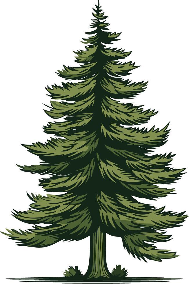 Tall Green Pine Tree Illustration vector