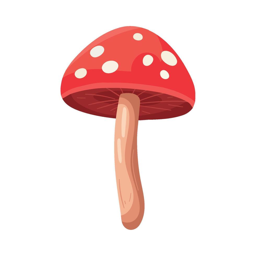 A red mushroom with white spots on it vector