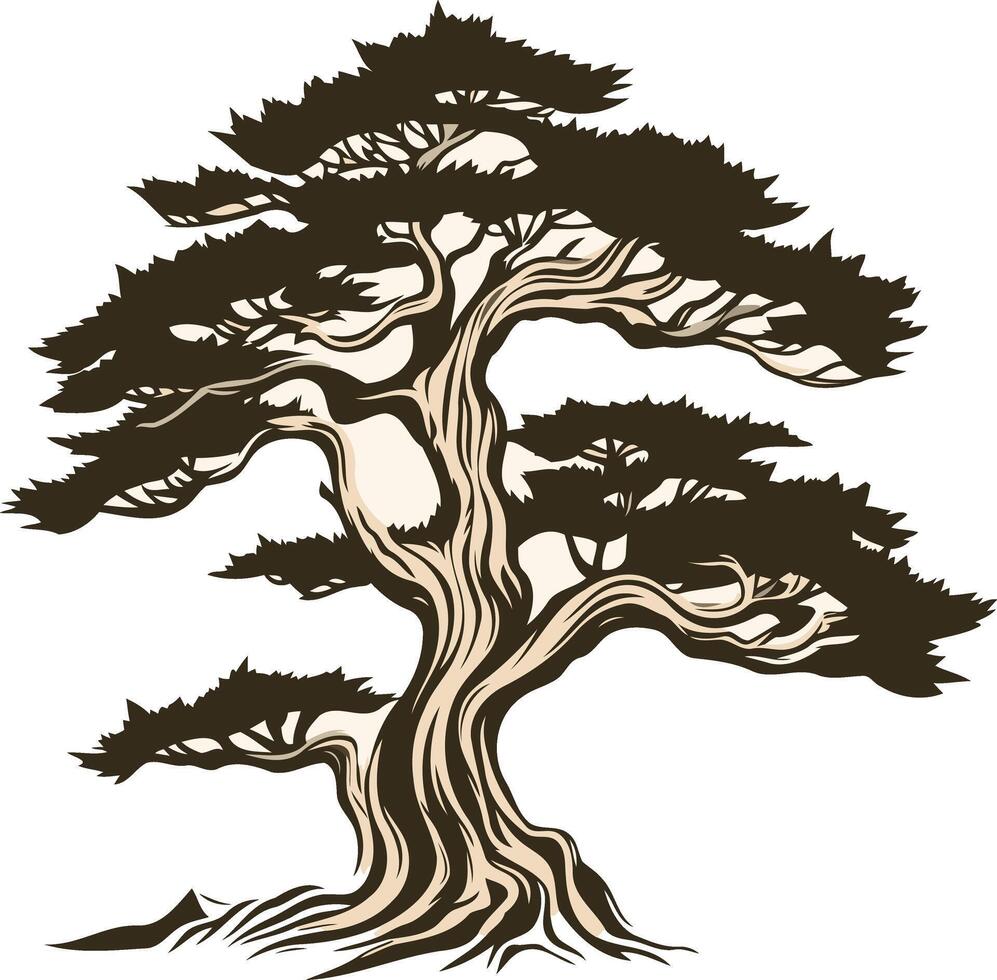 Japanese Bonsai Tree Illustration vector