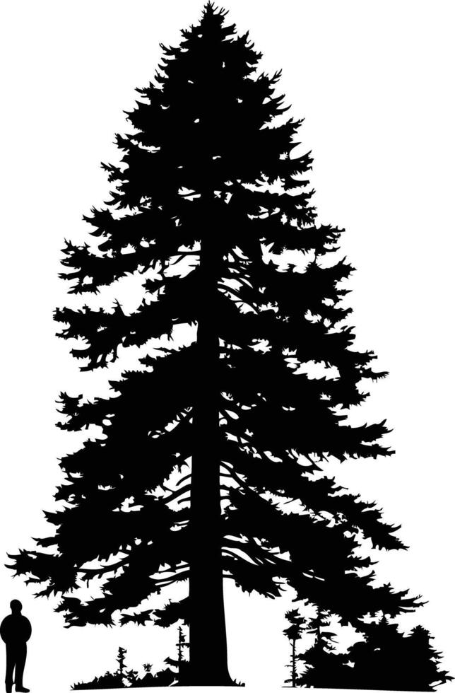 A striking silhouette of a towering pine tree, dwarfed by a lone figure, creating a sense of scale and grandeur vector