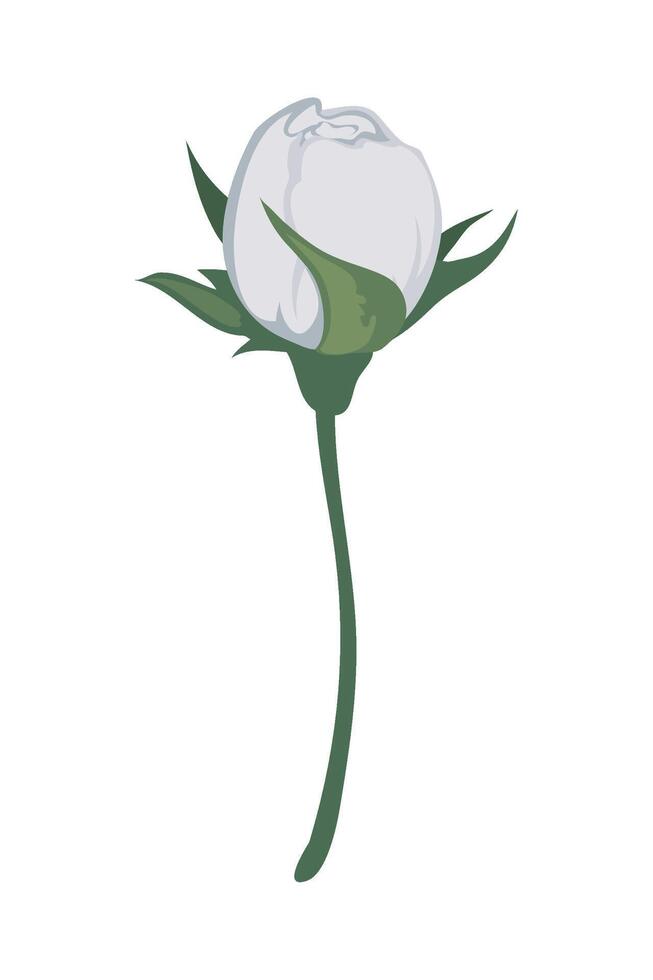 A white flower with green leaves on it vector