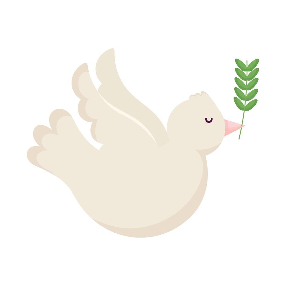 A white dove with a green branch in its beak vector