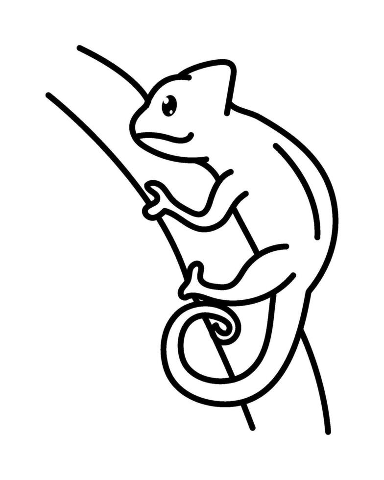 Chameleon on a branch line drawing vector