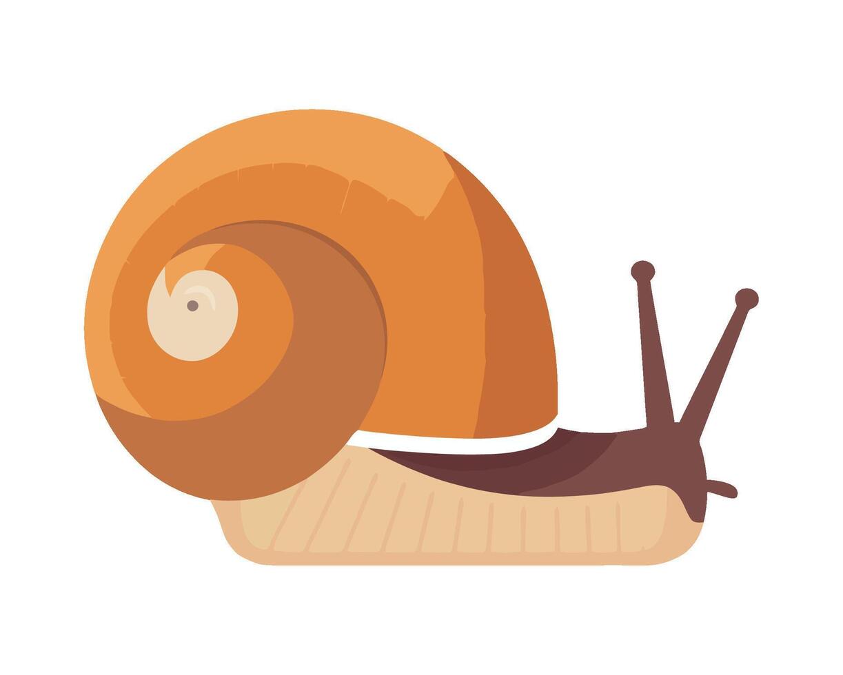 A snail is sitting on a white background vector