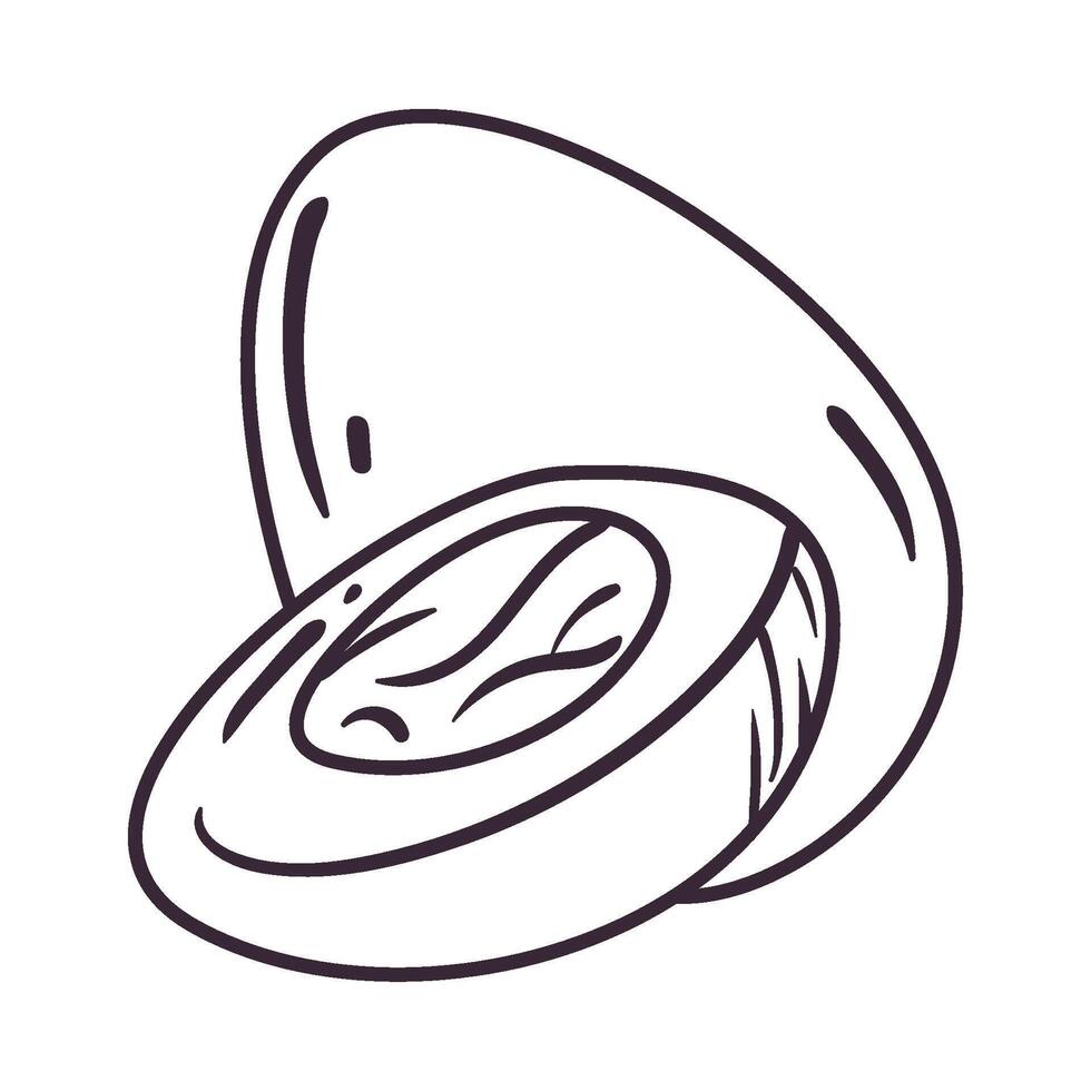 A black and white drawing of a shell with a coin inside vector