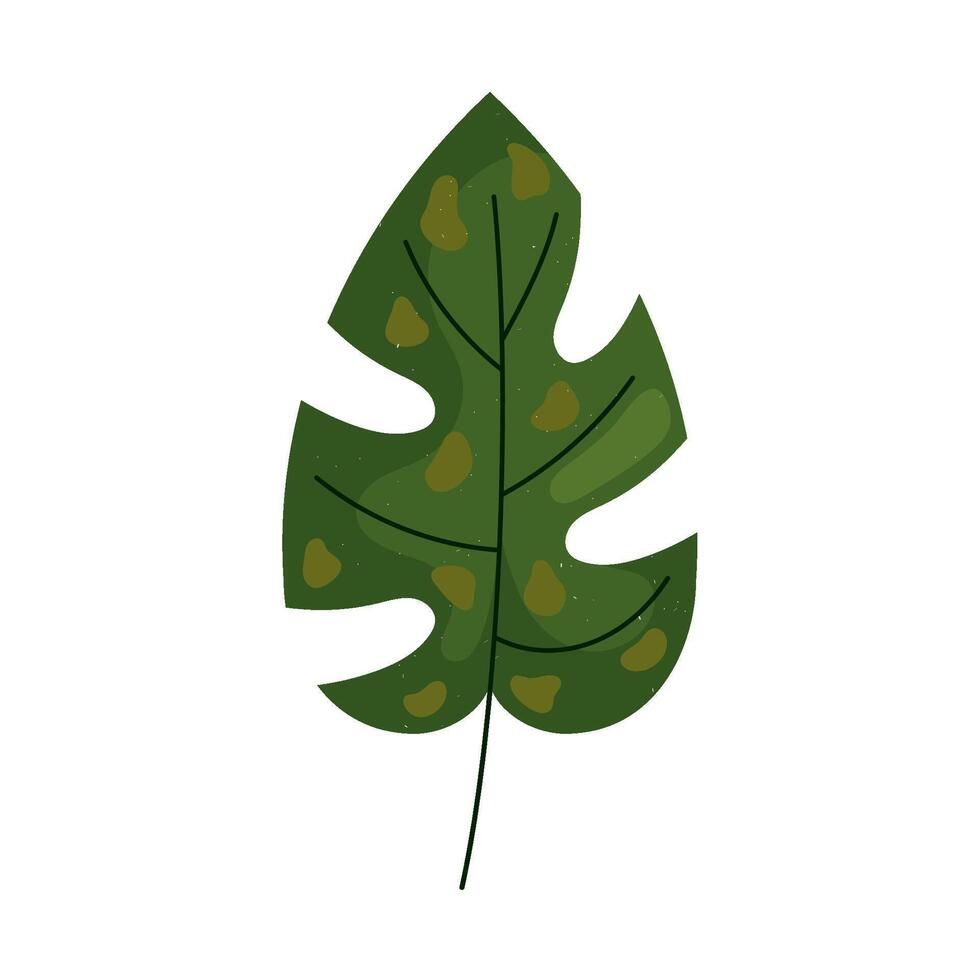 A green leaf with spots on it vector