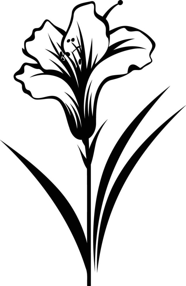 Elegant black and white illustration of a single lily flower vector