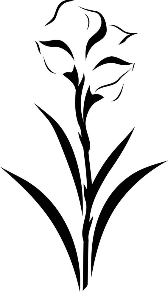Simple, elegant black and white silhouette of an iris flower vector