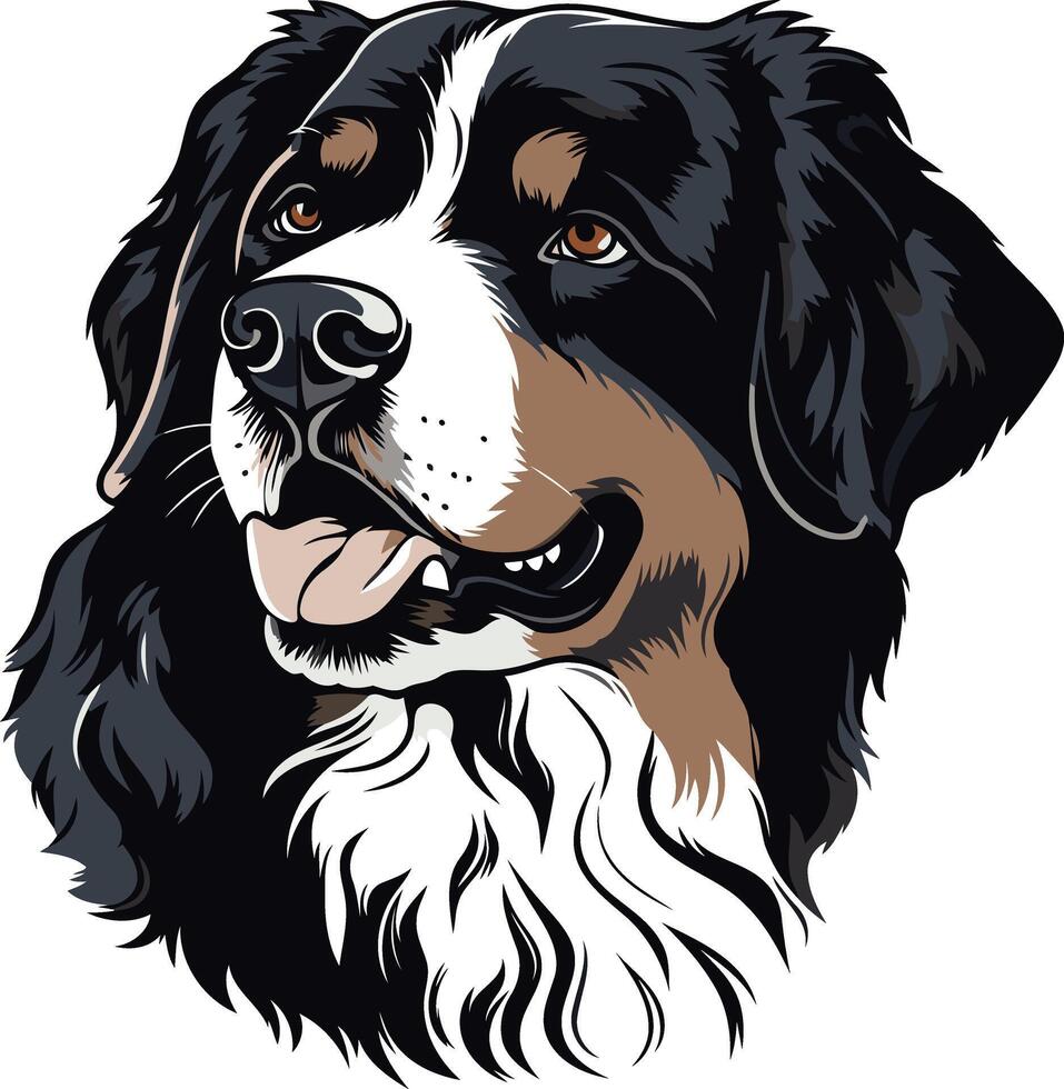Portrait of a Bernese Mountain Dog vector
