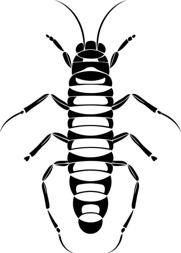 Black and white illustration of a segmented insect, perfect for tattoo design, graphic design projects, or natural history illustrations vector