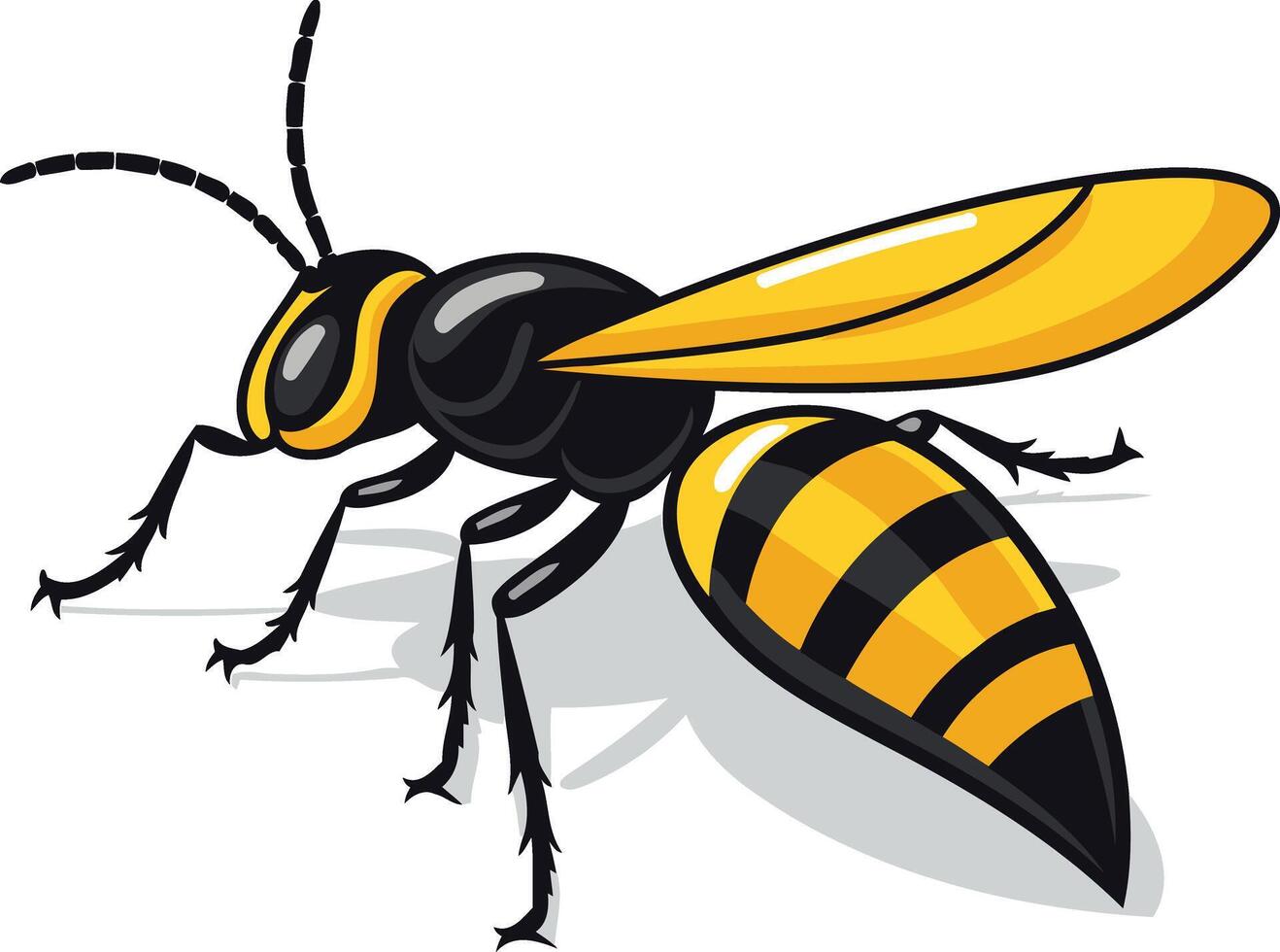 Cartoon Illustration of a Yellow Jacket vector