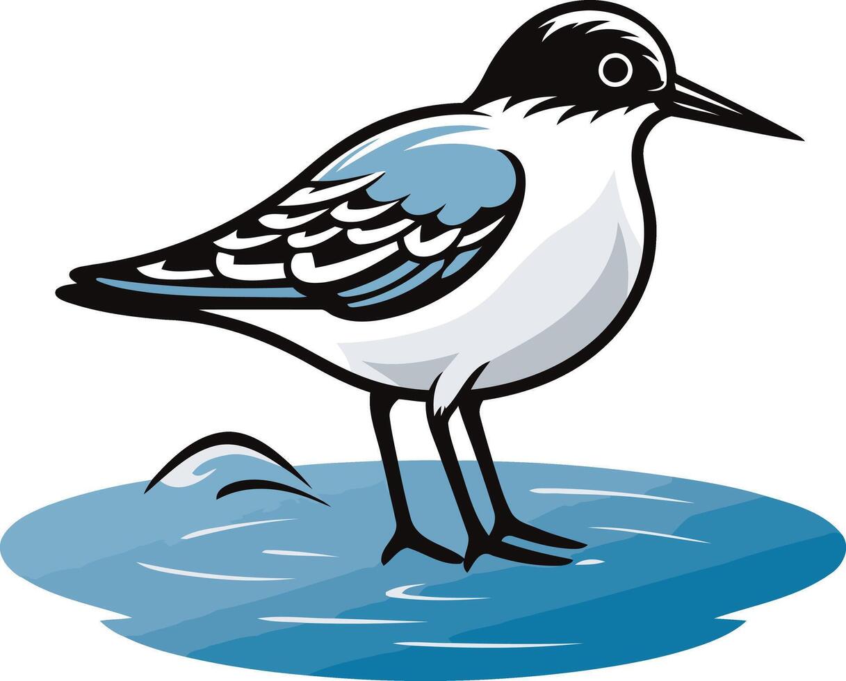 A playful cartoon illustration of a seabird, with black and white feathers, blue accents, standing on a water surface vector
