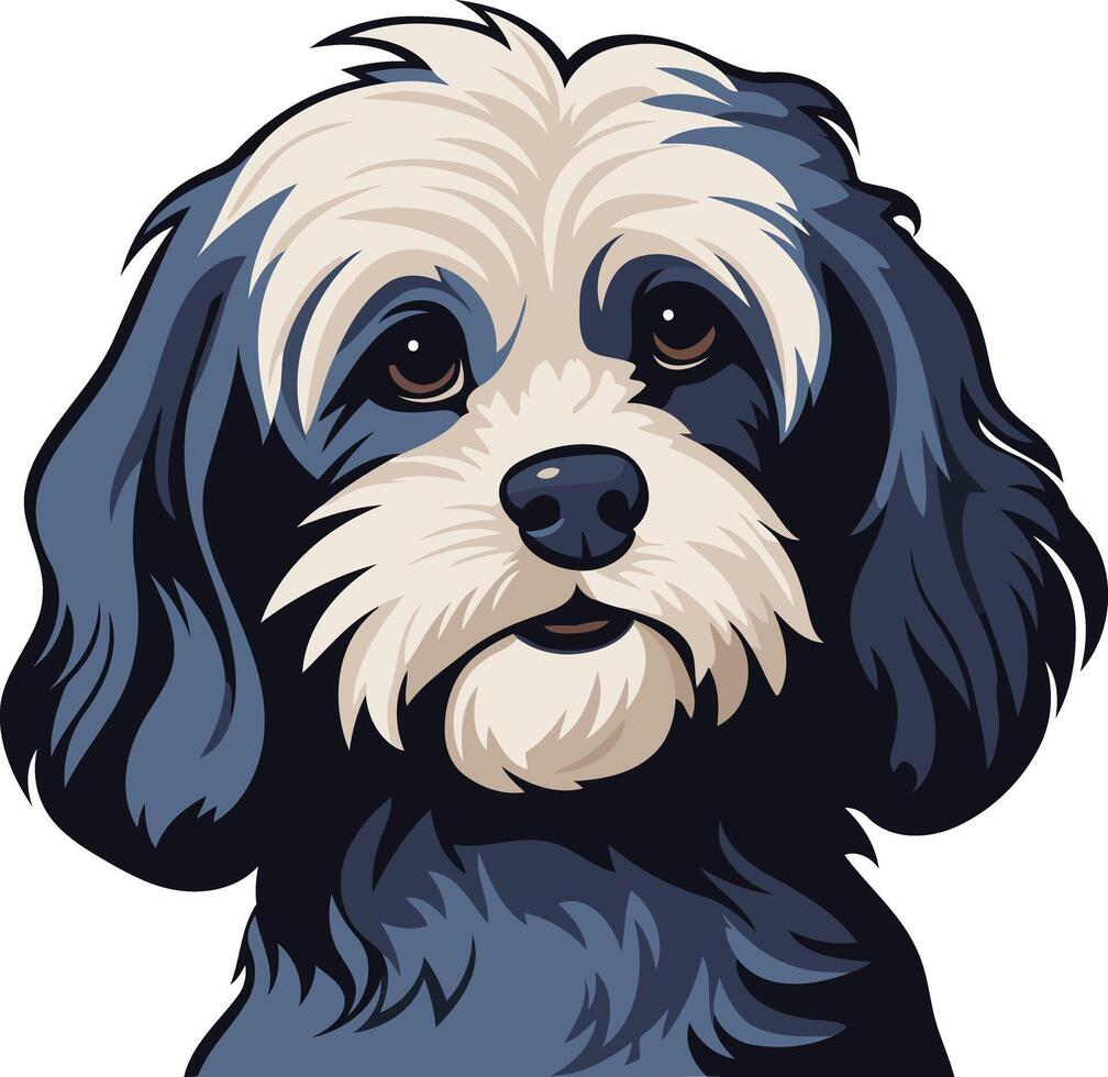 Adorable cartoon illustration of a cute, fluffy havanese dog with big brown eyes vector