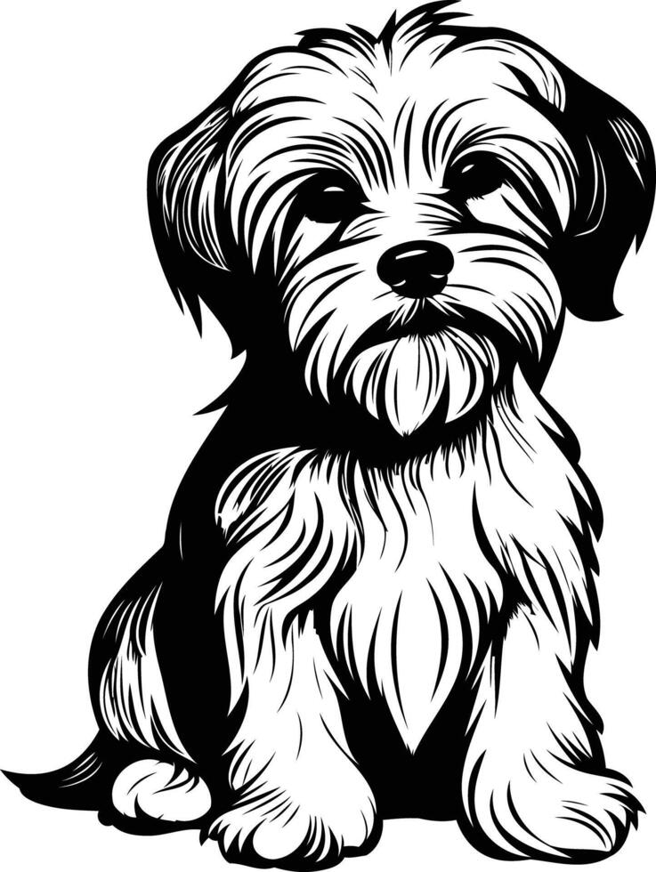 Black and white illustration of a cute, furry dog sitting vector