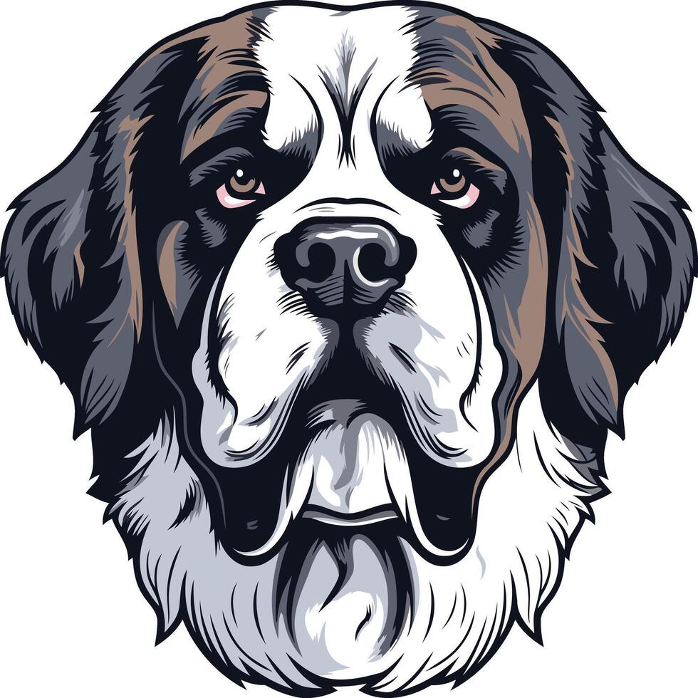 Close-up portrait of a saint bernard dog's face vector