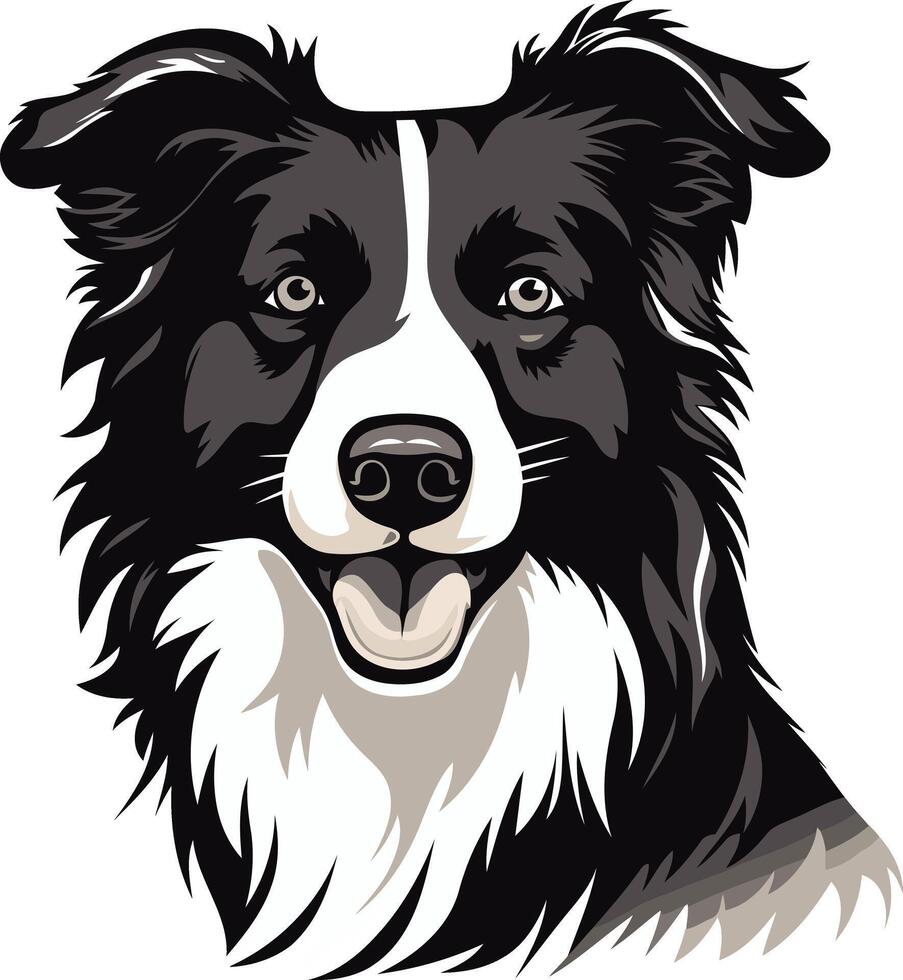 A friendly border collie with black and white fur, looking directly at the viewer vector