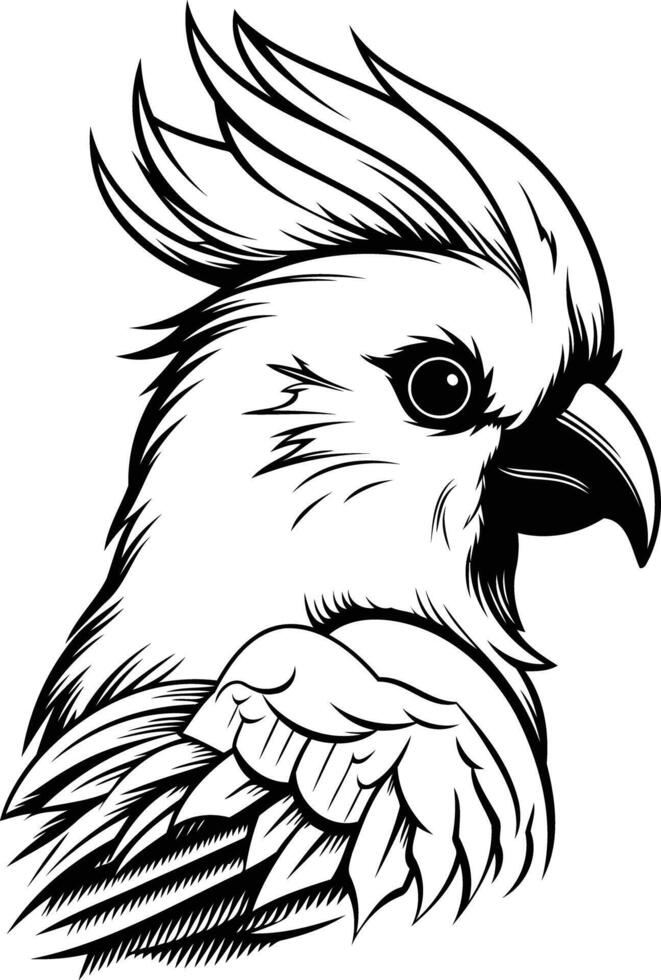 Black and White Illustration of a Cockatoo vector