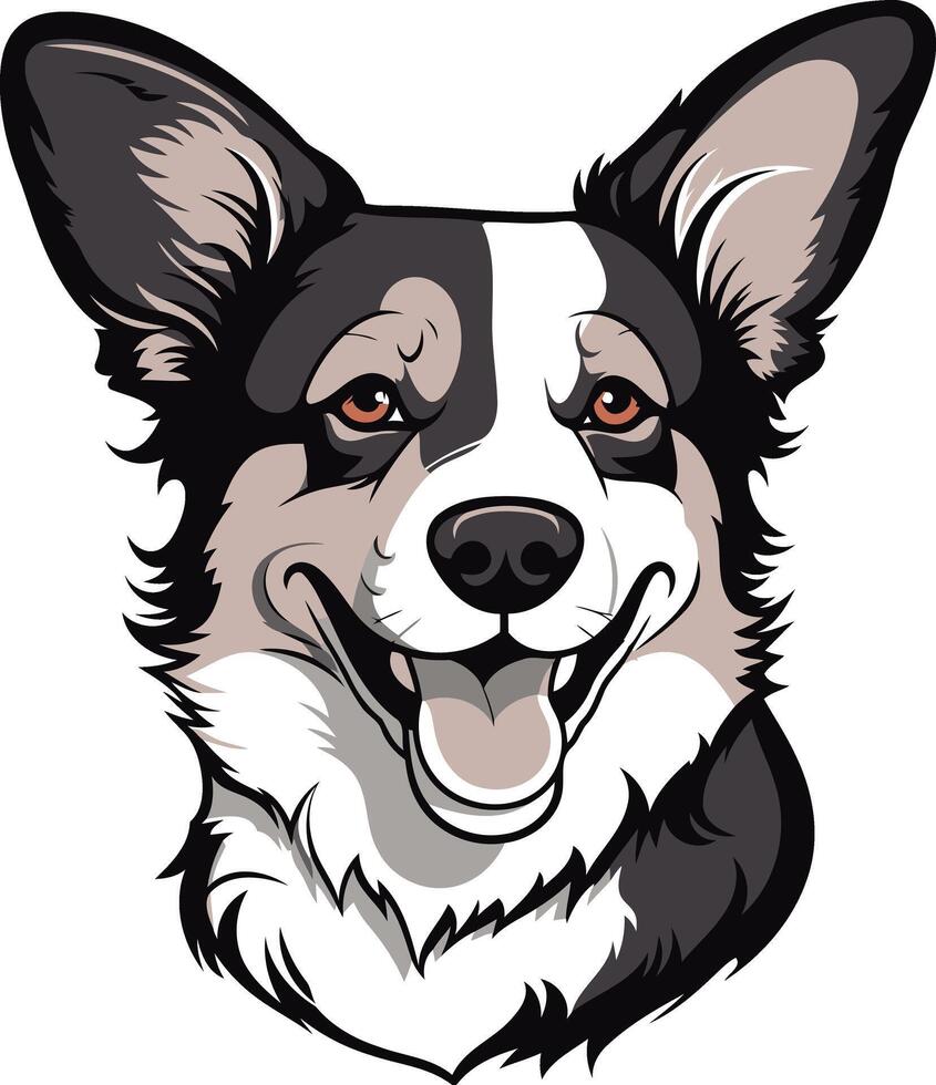 Smiling Border Collie Portrait vector